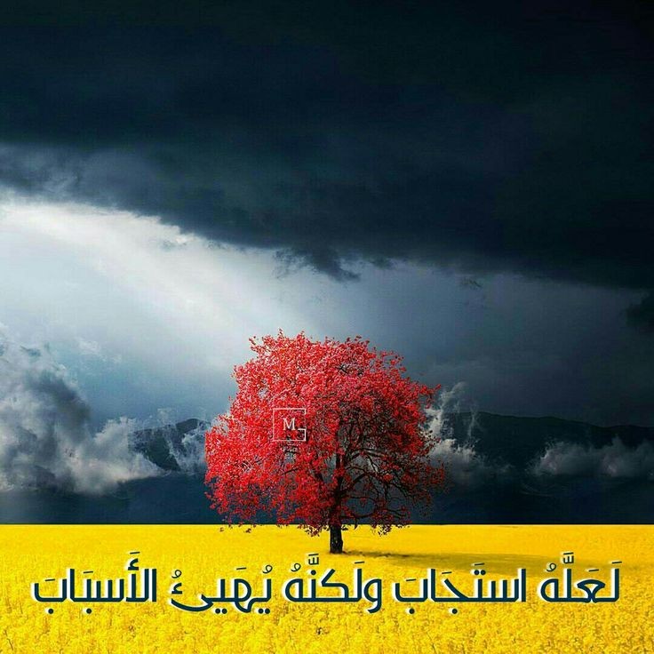 برغم وطأة الأحداث، وقسوتها؛ تبقى طمأنينة في النفس لثقةٍ بالله ويقينٍ عميق. وعدني ربي (فإنّ…