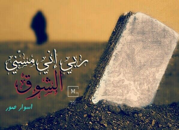 جهلاً بالألم.. وبحثاً عن الحقيقة؛ هل سيؤلمنا الشوق للأحياء بعد... موتنا؟