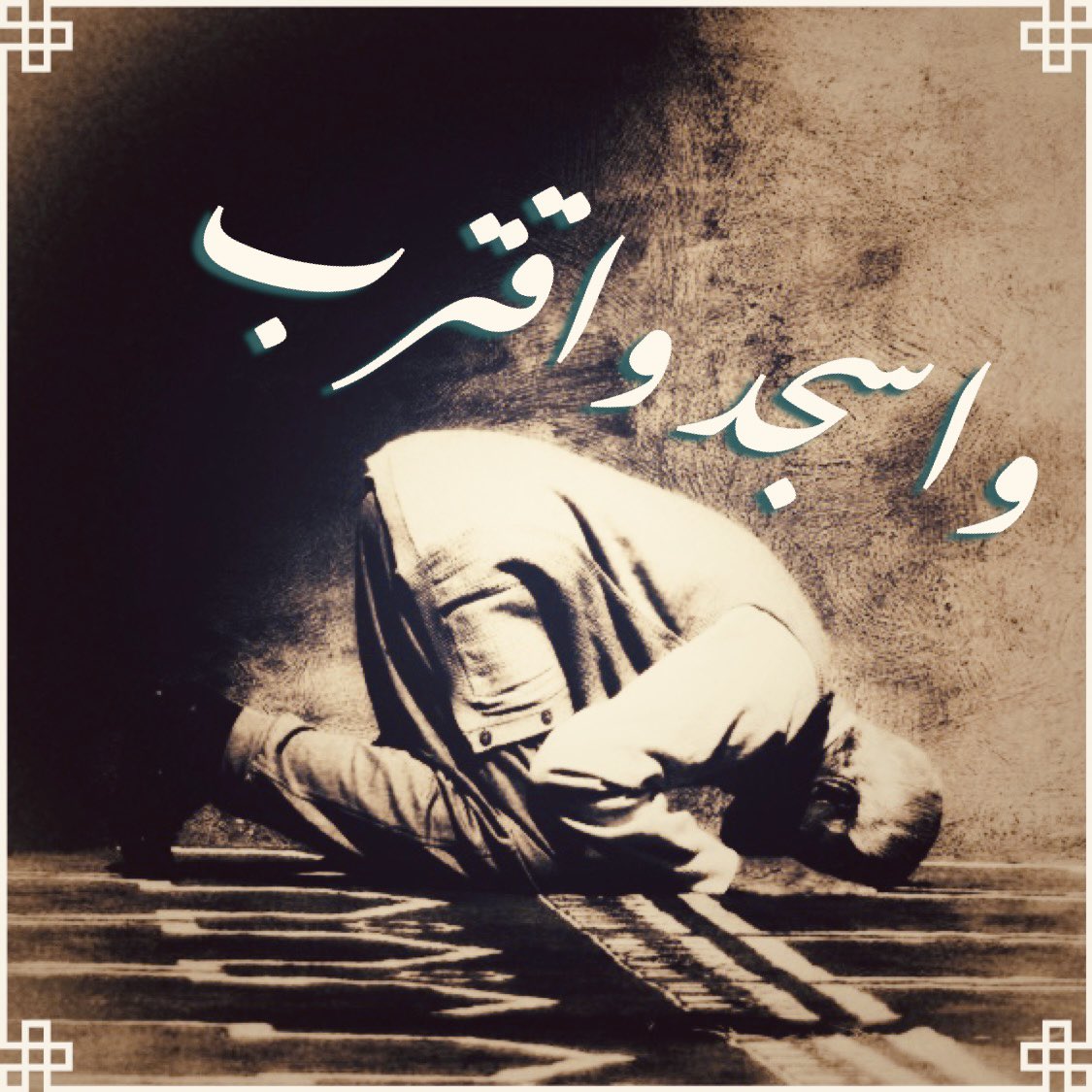 كلما سجدنا #لله بعد قلق وضجيج وارتباك.. هدأ الكون، وهجعت الروح مطمئنة! #واسجد.. لتكون أقرب…