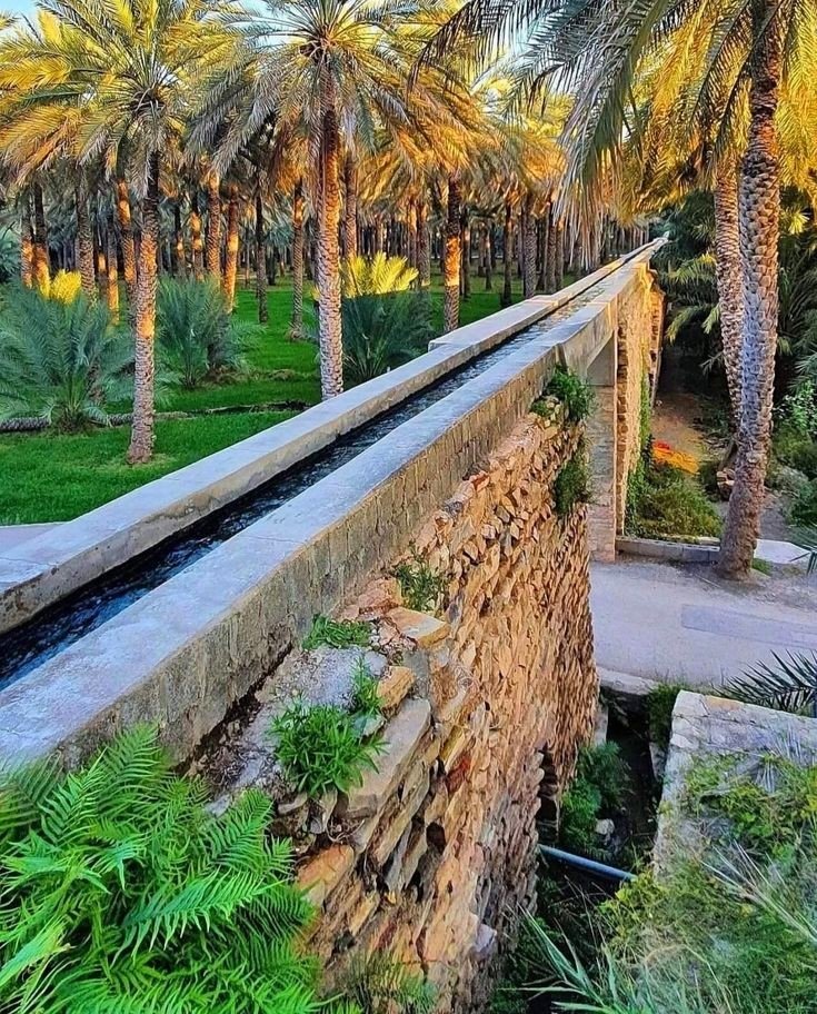 هنا الصبح.. حيث الأمل كبير، وحصاد الفرح وفير. .. خذ نصيبك من الضوء.. قبضة لك، وأخرى للأرض.