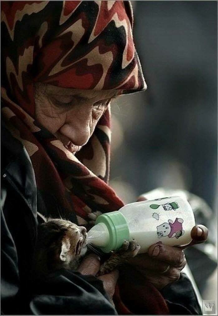 افعل خيراً قل جميلاً ازرع بسمة اسقي أملاً كلّ أمر به #خير (لا) تحرم غيرك منه، ربّما أعان م…
