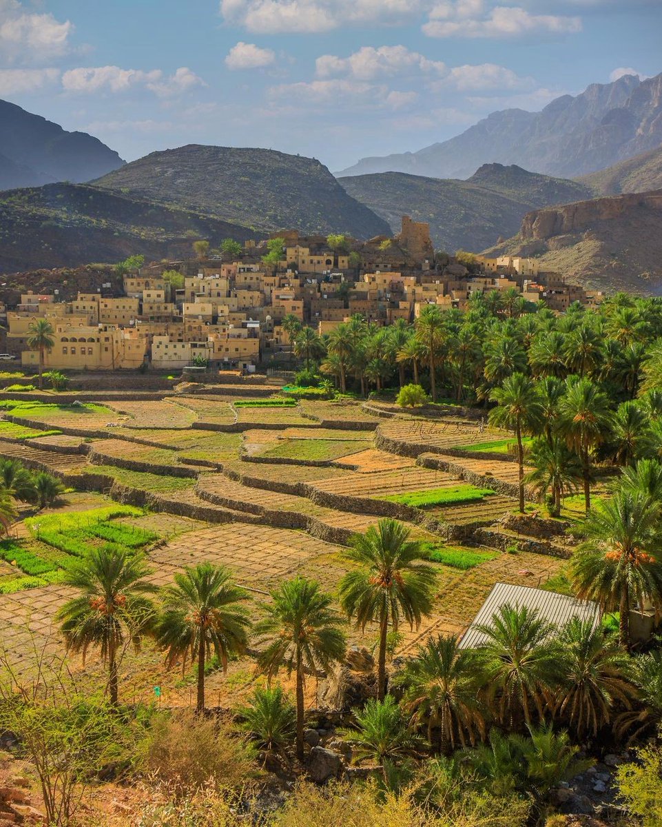 صباحك جميل يا #وطن.. صباحك أجمل أيها #الإنسان على هذه الأرض.. .. صبحٌ أشرق -من قبل- على قر…