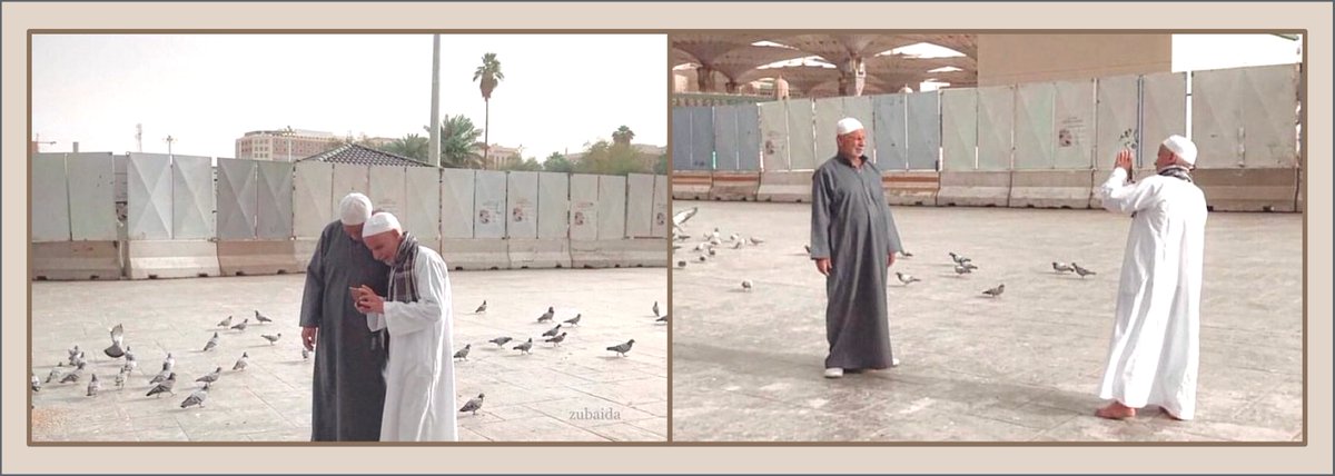 قال رسول الله صلى الله عليه وسلم:"خياركم؛ أحسنكم أخلاقاً، الذين يألفون ويُؤلفون". .. (#الأ…
