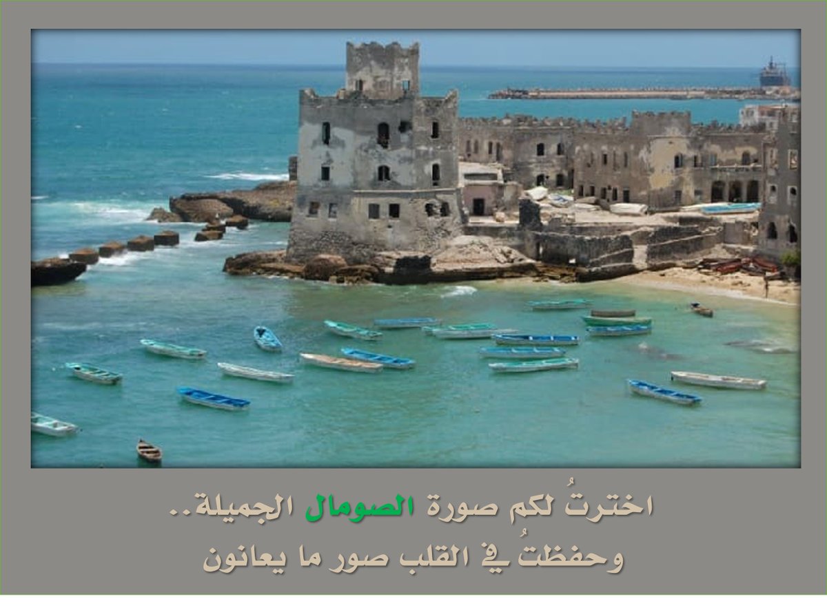 لأنهم الأشقّاء.. لأنهم يستحقون.. ننشر رابط (#التجارة_الرابحة مع الله) هنا.. وهناك: https:/…