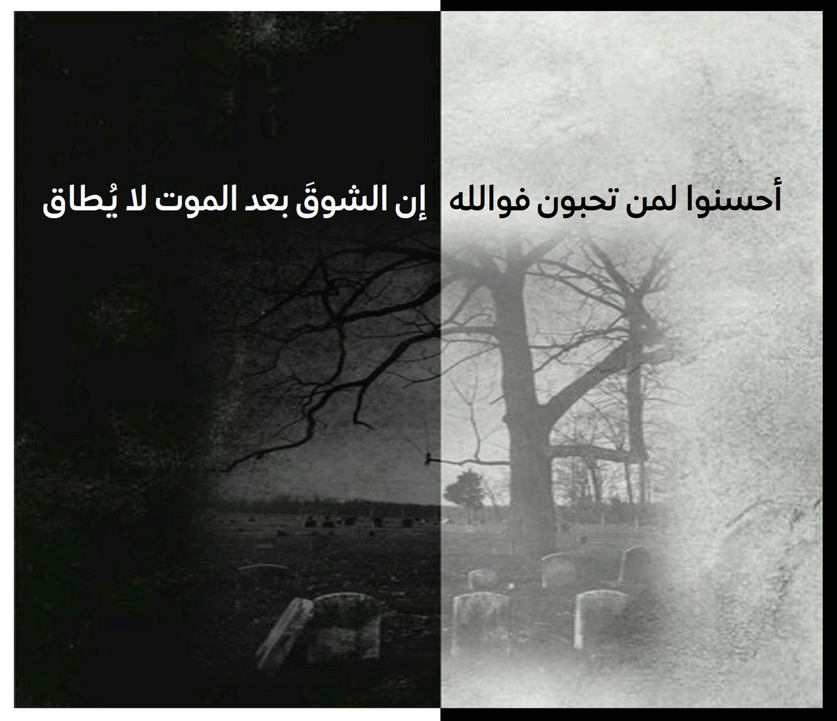 من جسدٍ ينهشه الألم بكل وحشية؛ يأتيني أنينها خافتاً: يا الله ربي إنها برغم التعب والمرض تن…