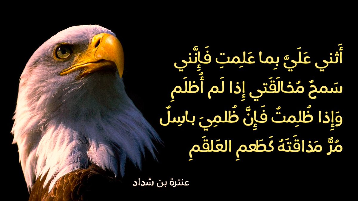لسنا هامشاً في هذا العالم.. حتى نخجل من مسجدنا، ولغتنا، ولباسنا، وآدابنا، وفنوننا، ورياضتن…