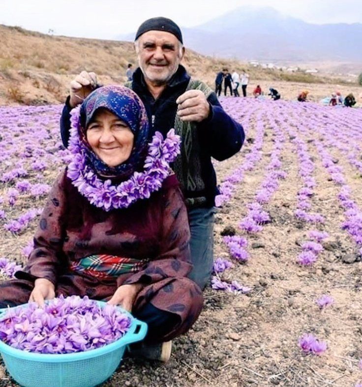 القلوب السخيّة.. تنظر بعين الحبّ والرضا، وإن أرهقها العتب، فأصابها العطب!