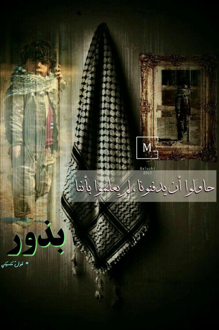 القضية الفلسطينية.. لم تبدأ مع هذا الجيل الصامد في #غزّة.. ولن تنتهي باستشهادهم! يجهل سنّة…