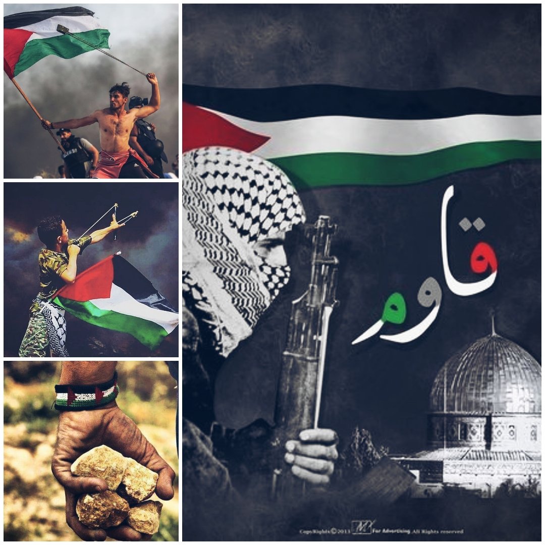 قالت العربُ: (لا يَفِلُّ الحديدَ غيرُ الحديدِ) والقولُ ما قذفَ صناديدُ العرب، ليس ما يلوكه…