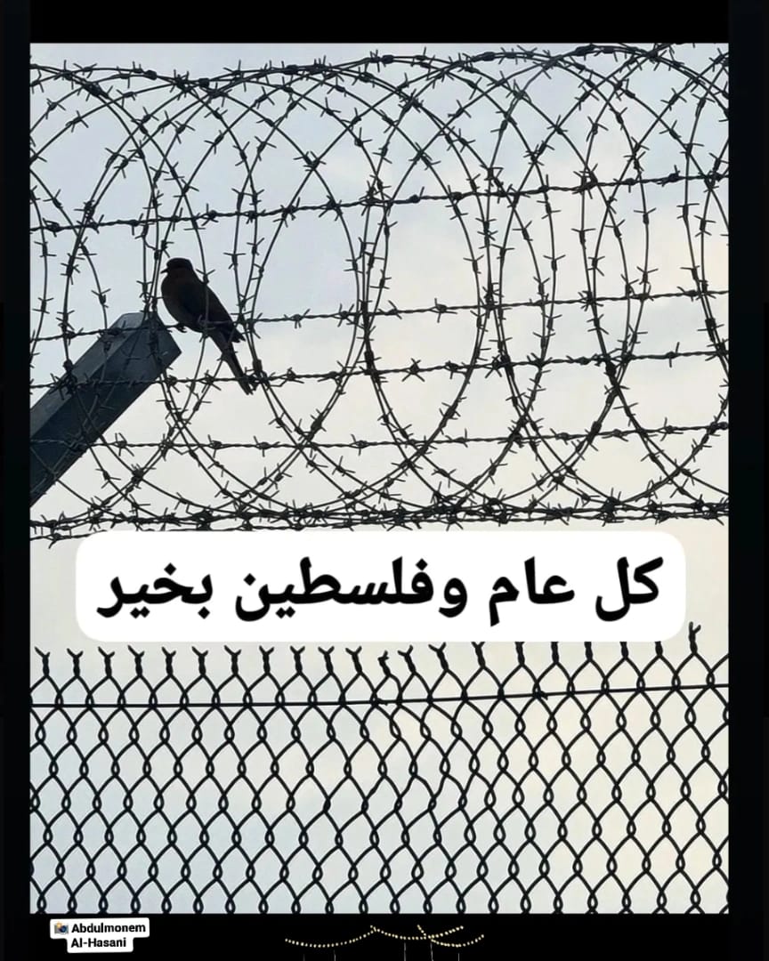 في هذا العالم.. جمال يحبسه إطار، وأطر جمالية تحلّق دون قيود تعلو جمالاً، وتبتكر دهشات عديد…
