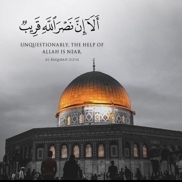 إن محاولة التعامل بمنطق العقل والقانون الدولي؛ هي محاولة #مسمومة أمام هذا #الإجرام الإسرائ…
