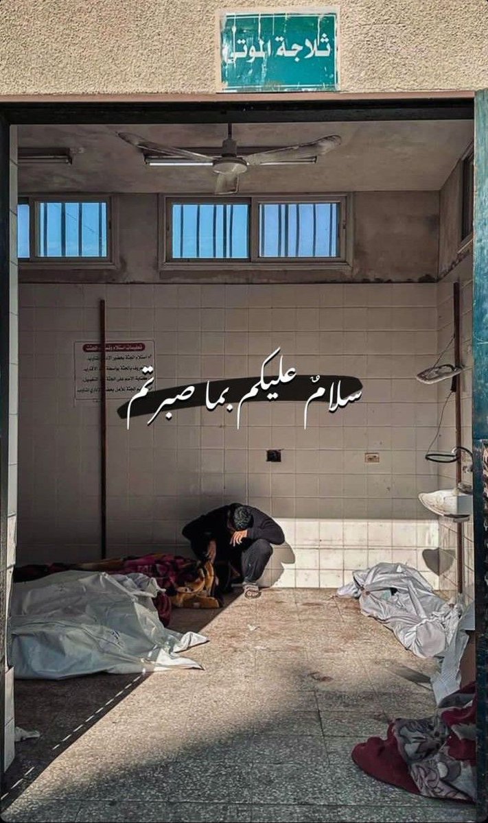 في غزّة يحاصر الجوع، وتُقصف الطفولة، ونحن نحاصر الضمير بين منشور وتعليق. نمضغ الشعارات، نق…