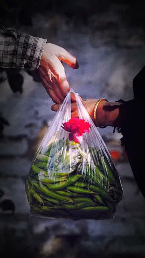 في قانونِ البريد.. بعضُ التَّفاصيلِ الصَّغيرةِ هي الرسالة.. وردةٌ حمراءُ تُدَسُّ في كيسٍ ش…
